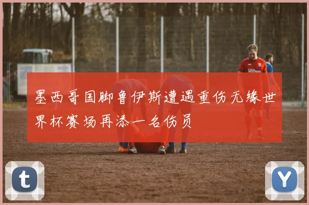 墨西哥国脚鲁伊斯遭遇重伤无缘世界杯赛场再添一名伤员