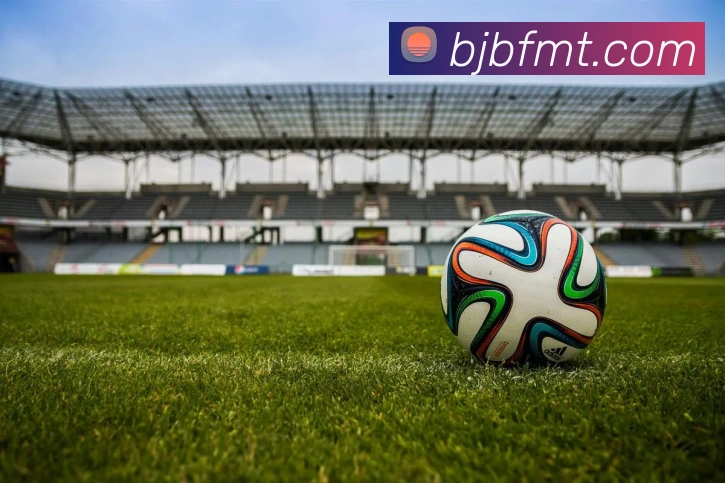 世界杯下单比赛app平台生态图