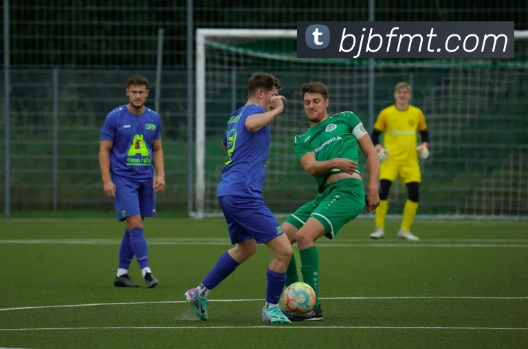 世界杯下单比赛appAPP 封面图